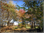 foto Alle pendici del Monte Grappa in Autunno